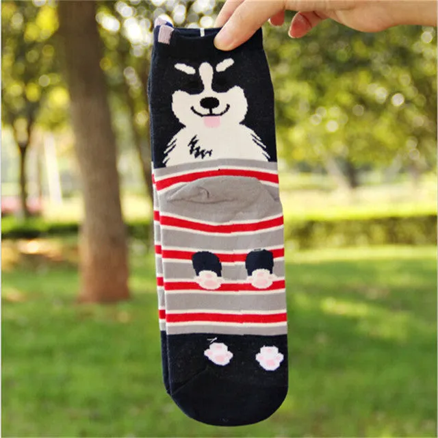 Autumn-Winter Funny Shiba Pug Socks